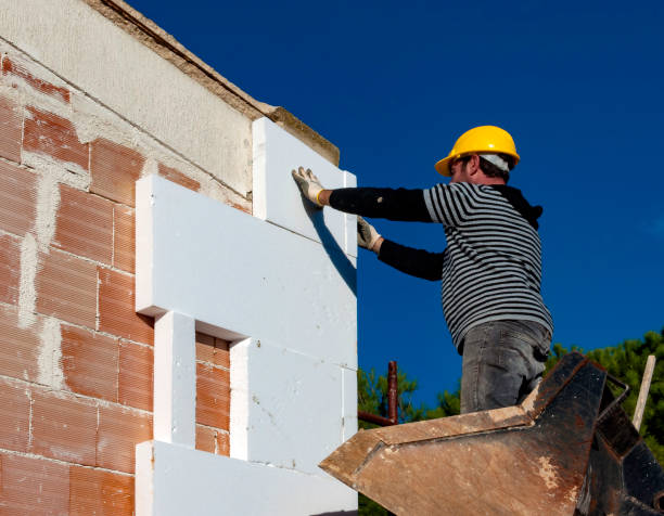 Best Best Insulation Companies  in Houston, MO