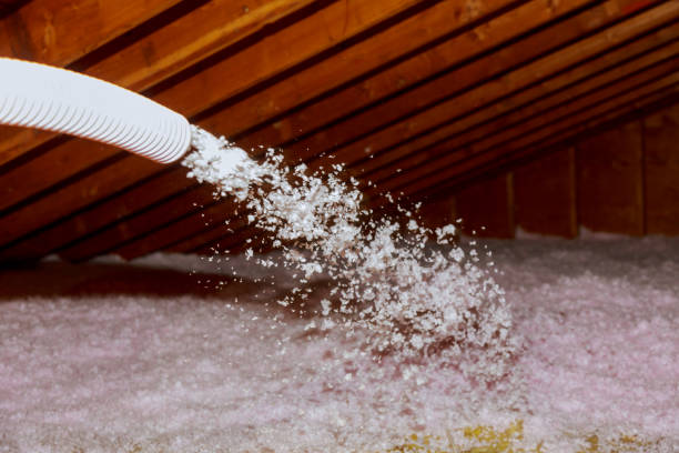 Best Attic Insulation Near Me  in Houston, MO