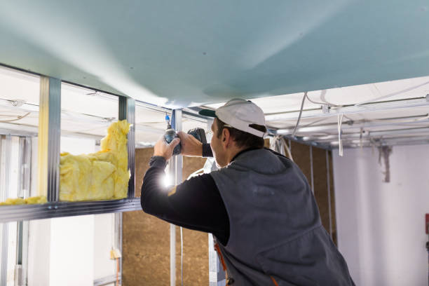 Best Affordable Insulation Services  in Houston, MO
