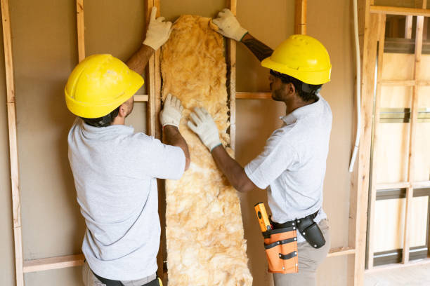 Best Home Insulation Services  in Houston, MO