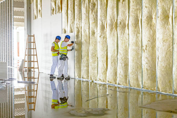 Best Insulation Repair Services  in Houston, MO
